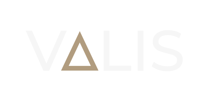 VALIS Logo
